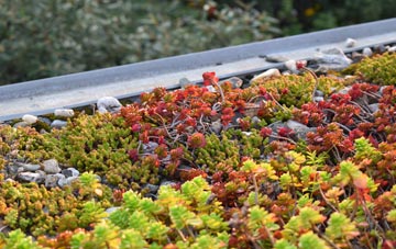 the cost of Snitterton green roof installation