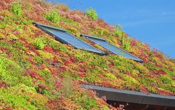 Snitterton living roof systems